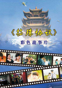 特殊協(xié)議