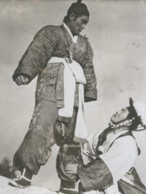 风仙花
