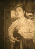 半岛之春