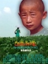 山壳小谣