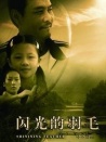 閃光的羽毛