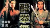 醉拳无敌—高清完整版—在线观看—1905电影网