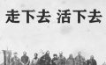 《一九四二》打动影迷 李冰冰谈观影感受眼泛泪光
