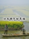 扶起籬笆就是墻