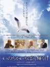 生命最闪耀的一天：临终关怀疗养院的40天