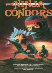 Ninjas, Condors 13