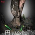 《巴比伦少年》入围柏林电影节 成唯一华语短片