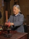 红豆杉
