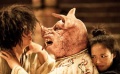 文章“顽固不化”不懂爱 舒淇“巧施妙计”诉真情