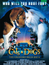 猫狗大战
