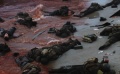 真实还原诺曼底登陆 残酷又震撼人心——《拯救大兵瑞恩》
