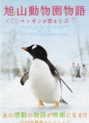 接班丁丁？22岁谢尔基赛季257分钟2球3助高效表现 3650万购入超值