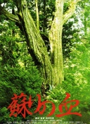 这次如何？拜仁德甲对阵勒沃库森5场不胜，上赛季欧冠双杀药厂