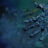 科幻大片《環(huán)太平洋》曝劇照 海灘驚現(xiàn)巨怪腳印