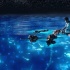 “少年派”特效公司R&H破產(chǎn) 中國公司有望收購