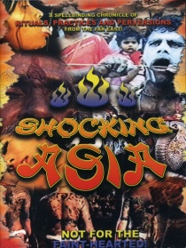 古灵精怪东南亚