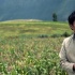 《避孕套飛了》5月上映 曾在釜山電影節(jié)上展映