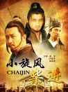 小旋风柴进