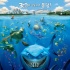 《海底總動員》3D重映受期待 5月1日登陸韓國