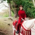 深田恭子自信挑戰(zhàn)騎馬戲 新片變身“紅衣女俠”