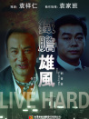 鐵膽雄風(fēng)