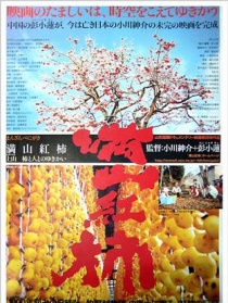 满山红柿