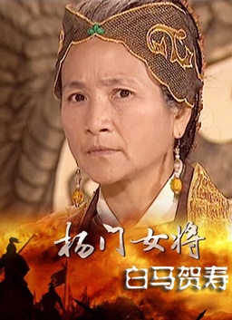 杨门女将白马贺寿—高清正版视频在线观看—1905电影网