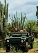 重回安菲尔德！每日电讯报：阿诺德即将迎接球迷冰火两重天的态度