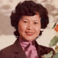 林舜卿