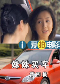 妹妹买车4