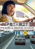 老婆大人要买车