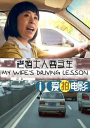 老婆大人要买车