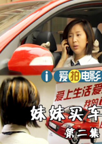 妹妹买车2