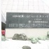 电影《南极物语》问世30周年 英雄犬铜像展出