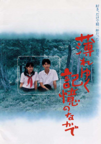 漸漸淡薄的記憶
