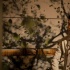 “澳门赌场”特辑曝光 《盲探》首周叫座又叫好