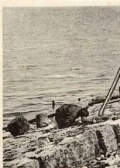 須德海