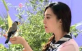 范冰冰片场与鸟搭戏很淘气 悲催小鸟被“减肥”