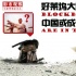 好萊塢大片模式遭遇困局 中國成為救命稻草？