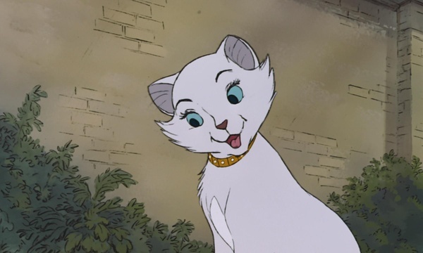 猫儿历险记