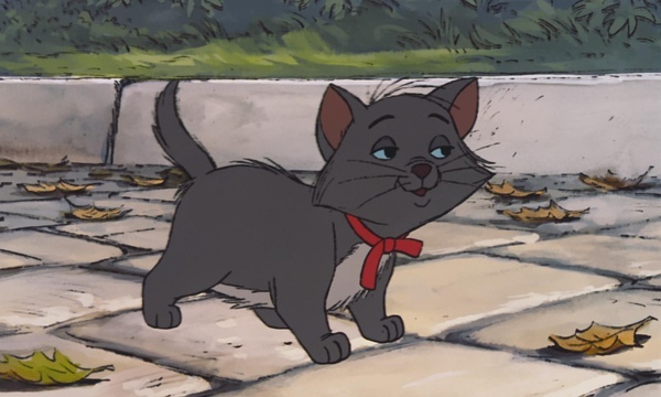 猫儿历险记