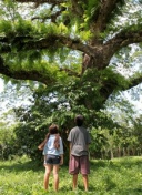 78岁霍奇森在英超执教面对老东家取得12胜，是联赛历史最多