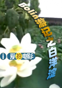 博林游記之白洋淀（上）