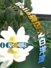 博林游記之白洋淀（上）
