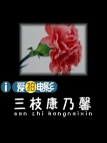 三枝康乃馨