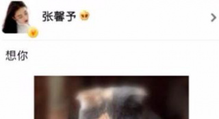 張馨予曬貓咪網(wǎng)上求復(fù)合 李晨回應(yīng)疑似舊情復(fù)燃