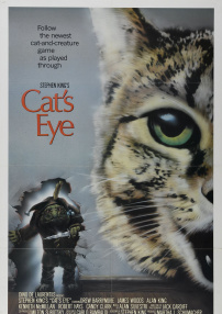 猫眼看人