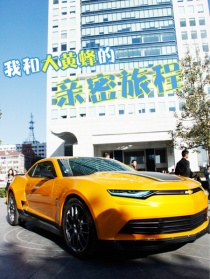 我和大黄蜂的亲密旅程
