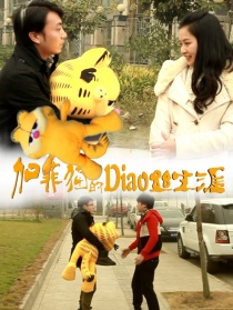 加菲猫的屌丝生涯