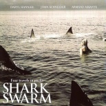 鲨鱼来袭shark swarm(2008)_1905电影网